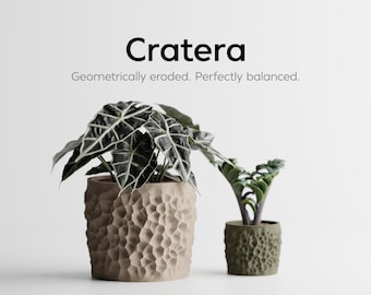 May include: Two textured planters, one beige and one green, each holding a plant with dark green leaves. The beige planter is larger, with a more intricate pattern. The word "Cratera" is displayed above the planters.