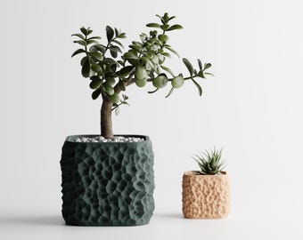 TerraForma Planter Pot | Voronoi Texture Plant Pot | Unique Home Decor