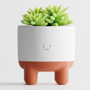 May include: A white ceramic plant pot with a terracotta base and legs, featuring a smiling face design. The pot contains a vibrant green succulent plant. A charming and modern decorative item for home or office.