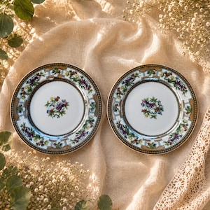 Könnte beinhalten: Zwei weiße Keramikteller mit floralem Design. Die Teller haben einen gold-braunen Rand mit einem sich wiederholenden Muster aus Blumen und Blättern. Die Mitte jedes Tellers zeigt einen Vogel und ein Blumenarrangement. Die Teller liegen auf einem beigen Tuch.