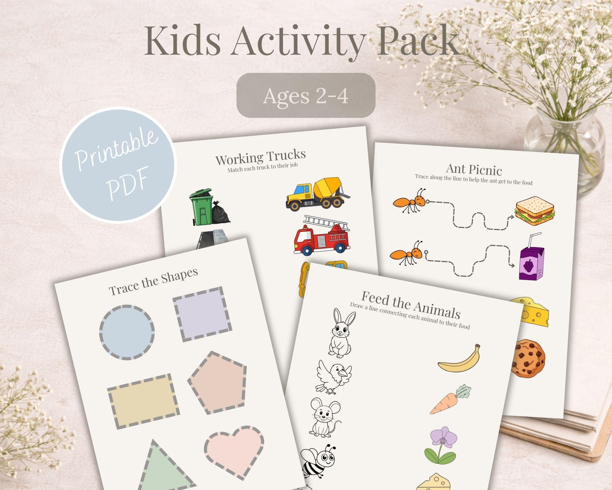 Toddler Activity Pack Printable | Ages 2-4 Learning Worksheets (PDF ...