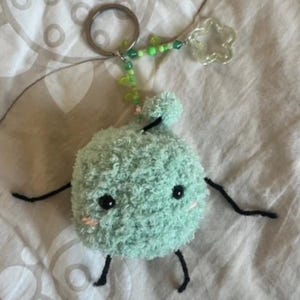 May include: A mint green fuzzy plush keychain shaped like a round creature with black bead eyes, pink stitched cheeks, and thin black yarn arms and legs. It features a silver metal keyring attached by a string of small green beads and a clear star charm.
