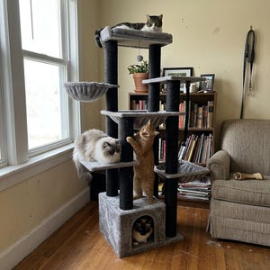 large cat tree for big cats heavy duty no wobble cat tower with hammock stable design for indoor cats