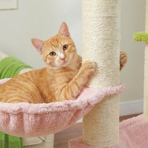 large cat tree for big cats heavy duty no wobble cat tower with hammock stable design for indoor cats