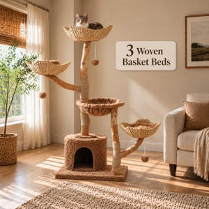 May include: A cat tree featuring three woven basket beds, a central wooden trunk, and a brown carpeted base with an arched entrance. A cat sits in the top basket. The structure includes hanging pom-pom toys and text reading 3 Woven Basket Beds.