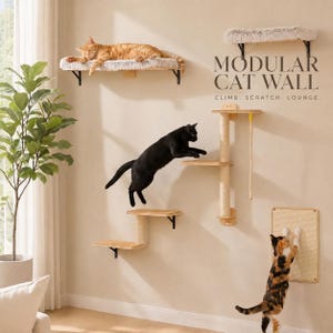 May include: A modular cat wall system featuring wooden shelves, sisal-wrapped scratching posts, and a plush-topped perch. The wall includes text reading MODULAR CAT WALL CLIMB, SCRATCH, LOUNGE. Three cats are shown interacting with the furniture.