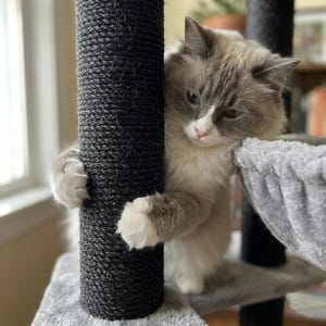large cat tree for big cats heavy duty no wobble cat tower with hammock stable design for indoor cats