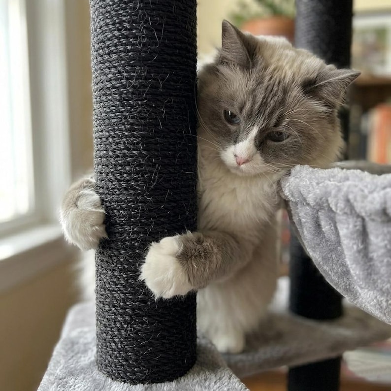 large cat tree for big cats heavy duty no wobble cat tower with hammock stable design for indoor cats