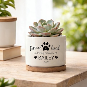 Może przedstawiać: Biała ceramiczna doniczka z sukulentem. Na doniczce widnieje napis "forever loved" oraz "in loving memory of BAILEY 2026" w kolorze czarnym. Doniczka stoi na drewnianej podstawce.