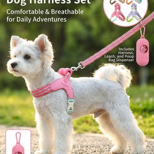 Dog Harness & Leash Set: Breathable Mesh, Soft Padding, Adjustable Puppy Harness (Includes Waste Bag Dispenser)