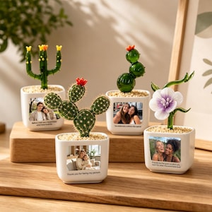 May include: Four small white square ceramic planters, each containing a different glass or fabric plant. Each planter features a custom printed photograph on the front side, accompanied by small lines of text printed below the images.