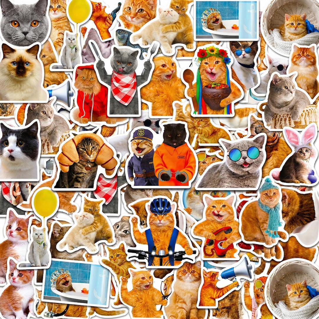 50PCS Funny Cat Sticker Pack, Cat Stickers, Meme Stickers, Cute ...