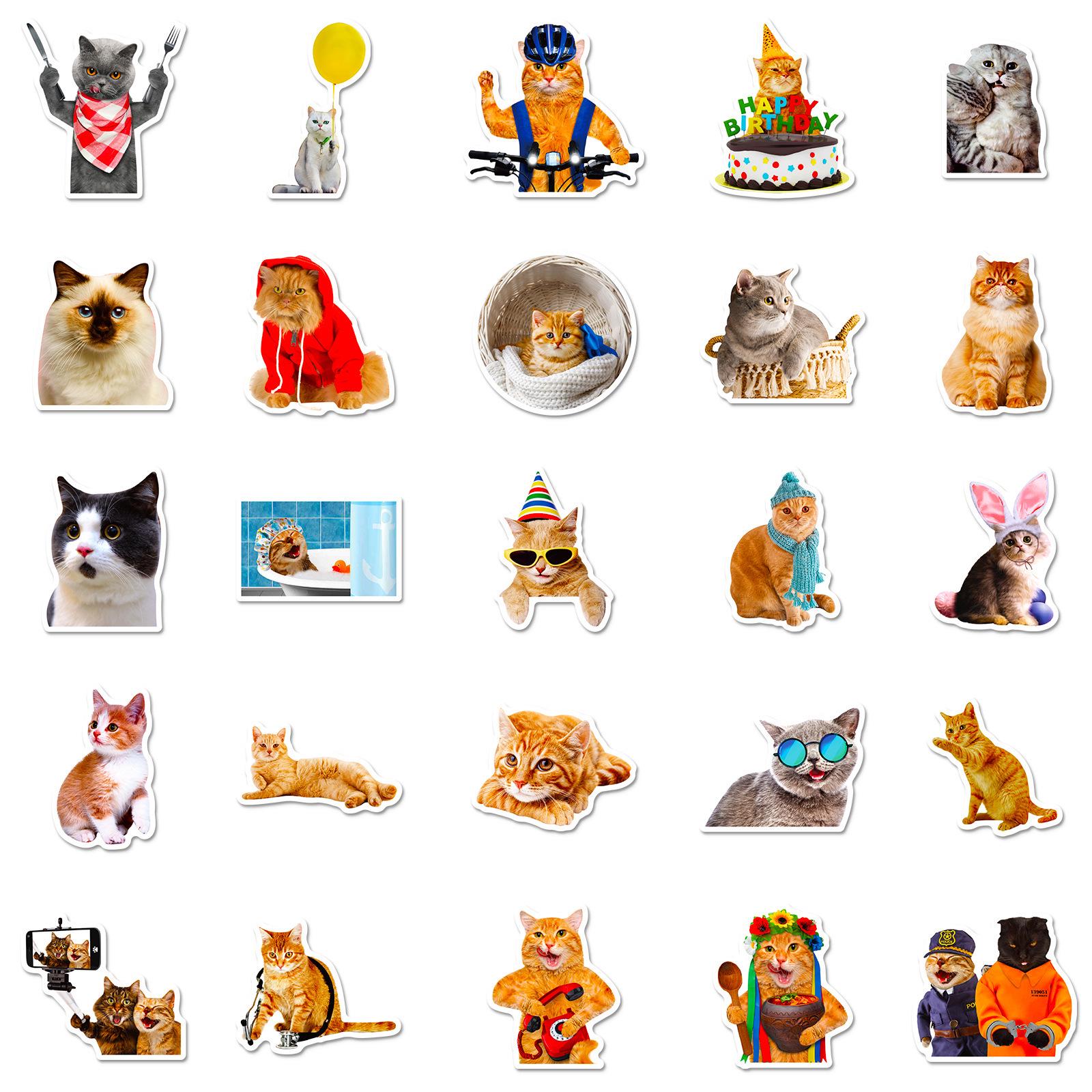 50PCS Funny Cat Sticker Pack, Cat Stickers, Meme Stickers, Cute ...