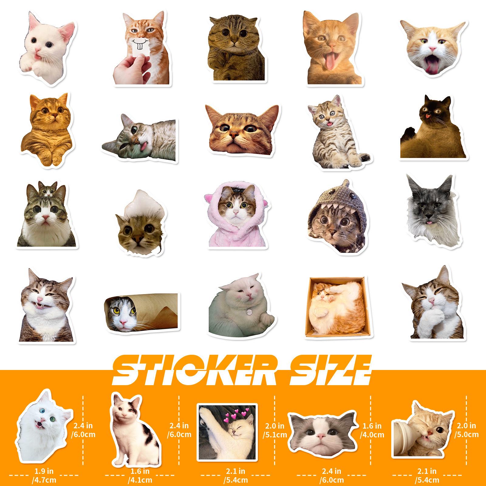 50PCS Funny Cat Sticker Pack, Meme Cat Stickers, Cute Cat Stickers, Cat ...