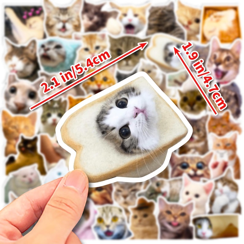 50PCS Funny Cat Sticker Pack, Meme Cat Stickers, Cute Cat Stickers, Cat ...