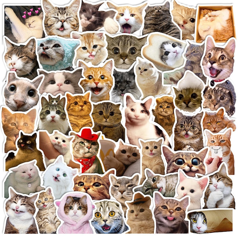 50PCS Funny Cat Sticker Pack, Meme Cat Stickers, Cute Cat Stickers, Cat ...