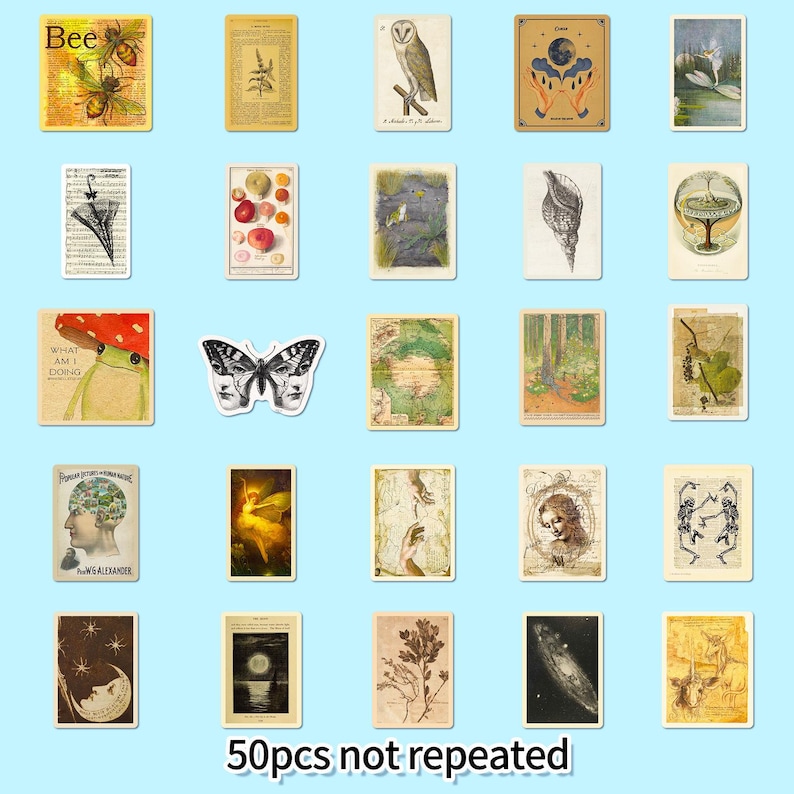 May include: A selection of 25 vintage-style stickers on a light blue backdrop. The stickers showcase diverse illustrations, such as a bee, an owl, a butterfly, and a frog. The text "50pcs not repeated" is at the bottom.