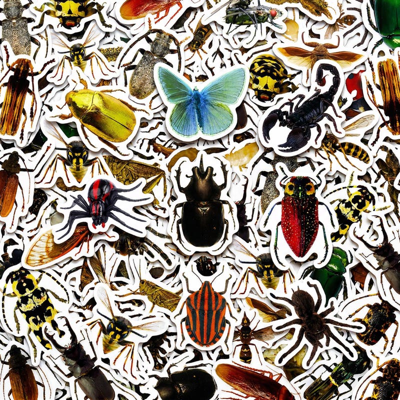 Insect Stickers - Etsy