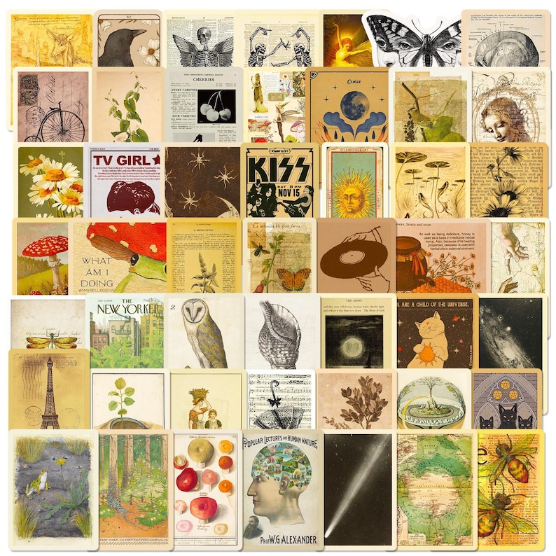 May include: A selection of vintage collage art cards with diverse illustrations. The cards showcase images such as a crow, a skeleton, a butterfly, and a frog. Some cards include text, such as "TV GIRL," "KISS NOV 15," and "THE NEW YORKER."