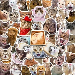 Pode incluir: Uma coleção de autocolantes de gatos com várias expressões e fantasias. Os autocolantes apresentam gatos com chapéus, fantasias e poses engraçadas. Os gatos são de cores diferentes, incluindo laranja, cinzento e branco. Os autocolantes são pré-cortados.
