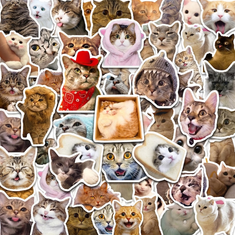 Cat Def Sticker Funny Cat Stickers, - Etsy