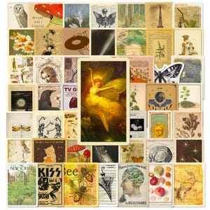 May include: A collection of vintage cards with various illustrations. Includes a fairy, insects, botanical prints, and text from "The New Yorker" and a "KISS" concert poster. The colour scheme is warm, with sepia tones and splashes of colour.
