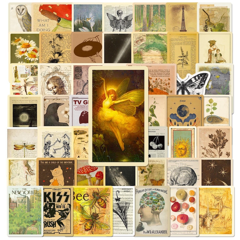 May include: A collection of vintage cards with various illustrations. Includes a fairy, insects, botanical prints, and text from "The New Yorker" and a "KISS" concert poster. The colour scheme is warm, with sepia tones and splashes of colour.