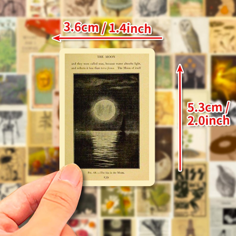 May include: A rectangular sticker, 5.3 cm tall and 3.6 cm wide, with a vintage illustration of the moon over water. The text "THE MOON" and other text are visible. The sticker is held by a hand, with other vintage-style stickers in the background.