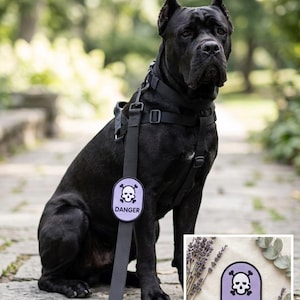Puede incluir: Un perro negro con arnés y correa negros, con un parche morado que dice "DANGER" y presenta una calavera. El perro está sentado en un camino de piedra. Se muestra un segundo parche junto al perro.