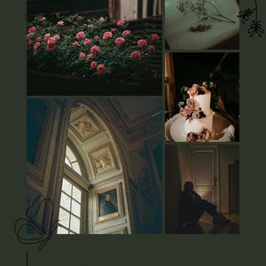 Create a stunning Instagram feed effortlessly (Canva Template)