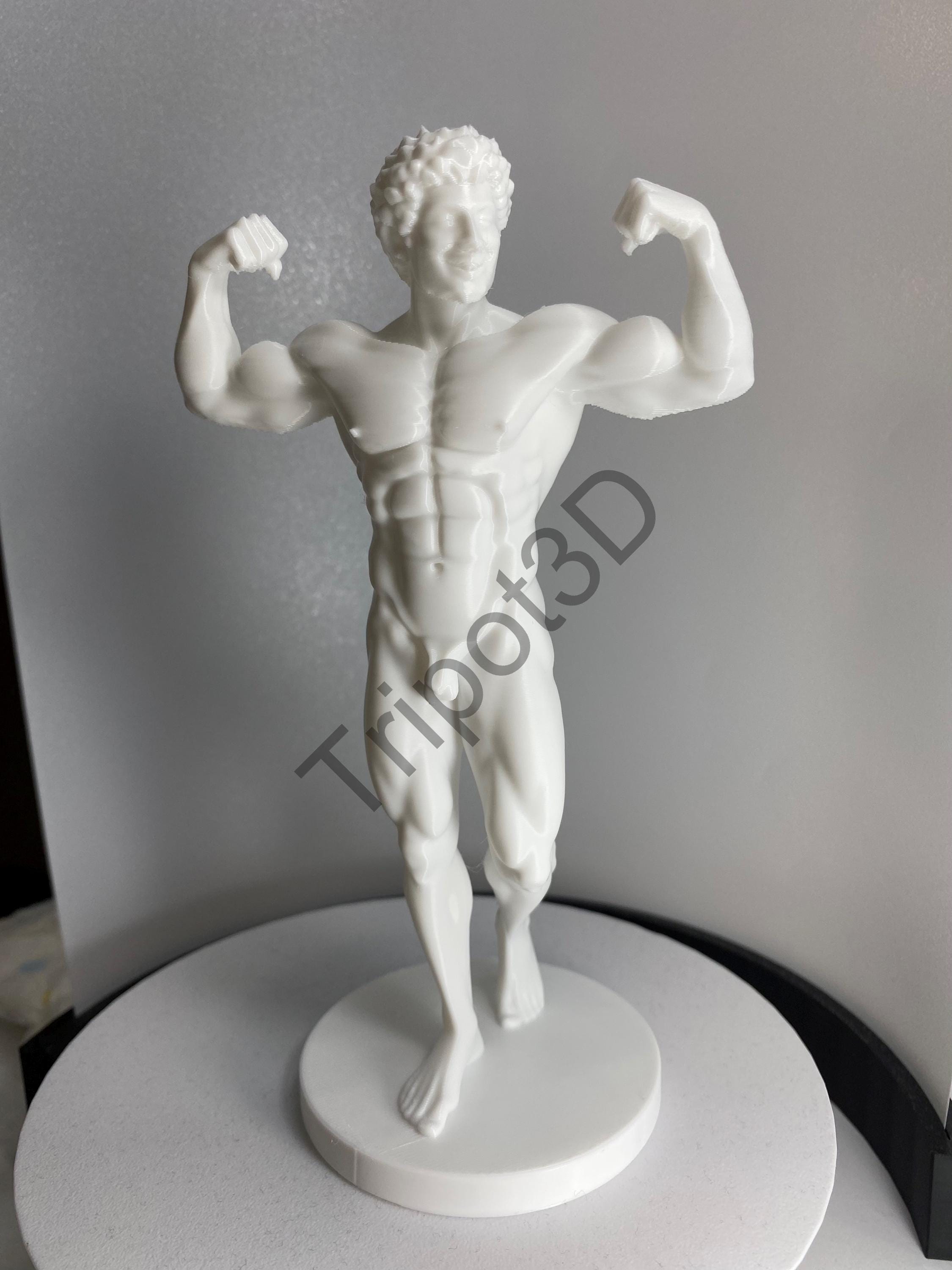 Bodybuilder Statue STL File, Muscular Male Figure 3D Print, Flexing ...