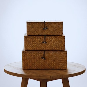 Seagrass Storage Basket, Eco-Friendly Woven Rectangular Container for Shelves