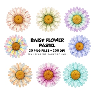 Könnte beinhalten: Eine Sammlung von acht Aquarell-Gänseblümchen in verschiedenen Pastellfarben wie Pfirsich, Creme, Lavendel, Regenbogen, Blau, Orange, Pink und Türkis, umgeben von dem Text DAISY FLOWER PASTEL 30 PNG FILES - 300 DPI TRANSPARENT BACKGROUND.