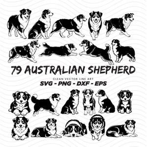 May include: A collection of 79 Australian Shepherd dog illustrations in various poses. The black and white vector art includes standing, sitting, and running dogs. Text reads "79 Australian Shepherd" and "Clean Vector Line Art".