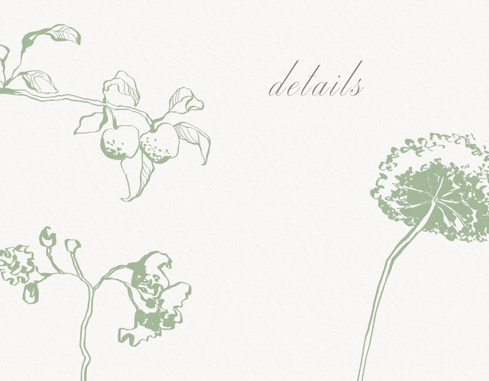 Fine Line flowers, Linear Style Botanical Illustration (PNG, AI, EPS ...