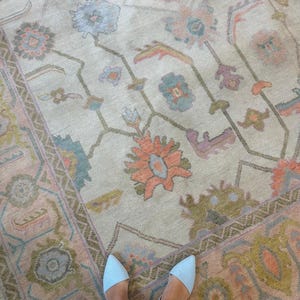 May include: A large area rug featuring a cream-colored base with a repeating floral pattern in muted shades of coral, sage green, dusty blue, and lavender. The design includes a wide decorative border with geometric shapes and stylized flower motifs.