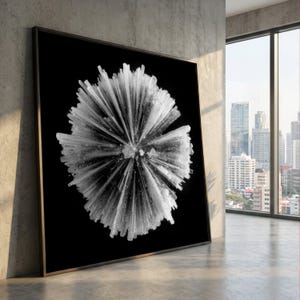Può includere: Stampa artistica incorniciata in bianco e nero con una struttura cristallina astratta dettagliata. L'opera d'arte ha un design radiale con linee nitide e radianti e uno sfondo scuro. La stampa è esposta in un ambiente interno moderno con vista sulla città.