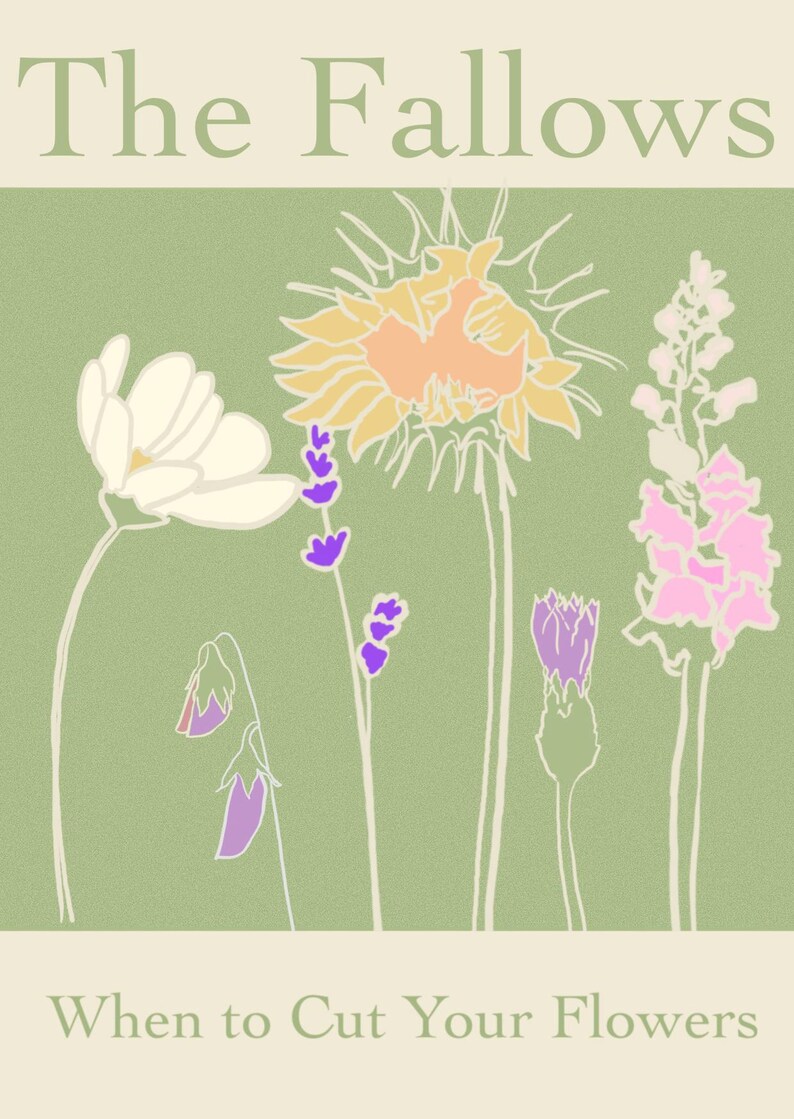 Eine Anleitung, wann Sie Ihre Blumen für das längste Vasenleben ...