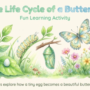 May include: Watercolor illustration depicting the life cycle of a butterfly. The image shows a caterpillar, chrysalis, and butterfly, along with an egg and flowers. Text reads "The Life Cycle of a Butterfly, Fun Learning Activity."