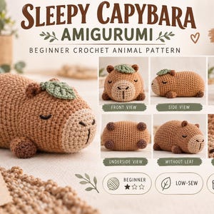 Peut inclure: Un patron de crochet pour un amigurumi capybara endormi, représentant un animal en peluche marron avec une feuille verte sur la tête. L'image montre des vues de face, de côté, de dos et de dessous, avec des détails et une taille de 16-18 cm.