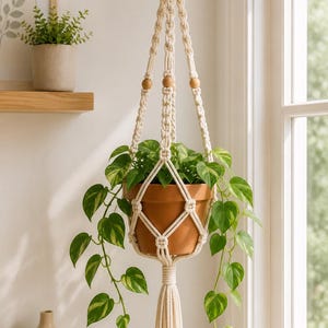 May include: A cream-colored macrame plant hanger featuring intricate knotted patterns and three light wooden beads. The hanger supports a terracotta-colored pot containing a trailing green pothos plant with variegated leaves and a long tassel.