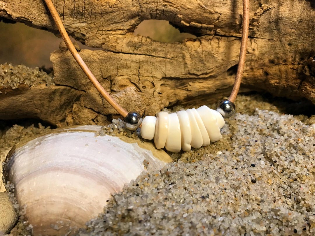 Large Rare Puka Shells on Leather Cord - Etsy
