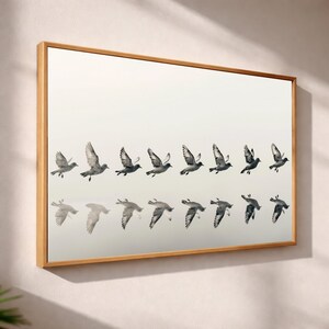 May include: A framed print featuring a sequence of grayscale images of birds in flight. The birds are depicted in various stages of wing movement, creating a sense of motion. The frame is a light brown color.