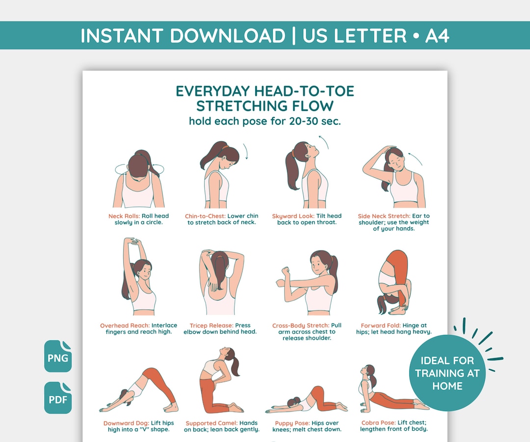 List Basic Flexibility Routine Graph Digital Full Body Stretch Chart Poster | Everyday Flexibility Exercises ...