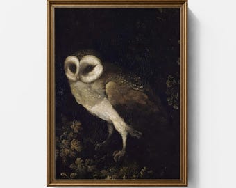 May include: A framed wall art print featuring a barn owl with white and brown feathers perched against a dark, shadowy background. The owl has a heart-shaped face and dark eyes. The artwork is enclosed in a thin, metallic gold frame.