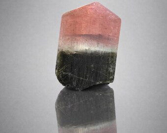 May include: A polished, multi-colored tourmaline crystal. The gemstone features bands of pink, white, and dark green. The crystal is standing upright, with its reflection visible below. The stone has a faceted top.
