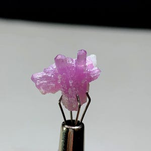 May include: A cluster of raw, uncut pink tourmaline crystals. The crystals are held by a metal tweezer. The tourmaline has a rough, textured surface and varying shades of pink and white.