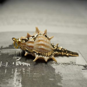 May include: A seashell pendant with gold accents. The pendant is a natural, tan-colored shell with a textured surface and spiky protrusions. Gold leafing adorns the edges and details of the shell, and a gold-colored loop is attached for hanging.