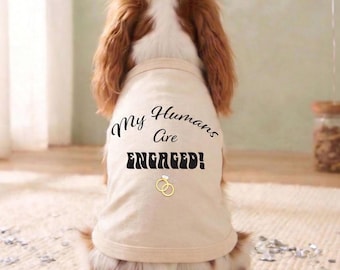 Dog Clothes