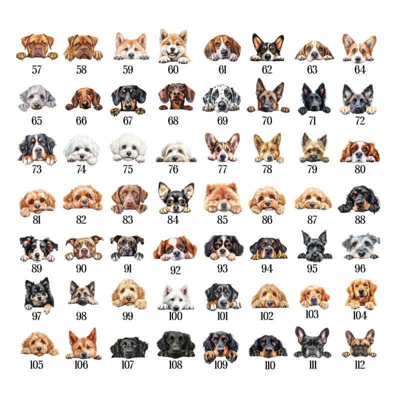 custom-dog-portrait-name-mug-personalized-pet-faces-cup-pets-lover